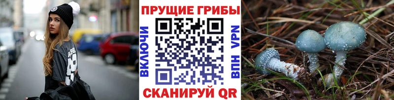 Псилоцибиновые грибы MAGIC MUSHROOMS  Протвино 